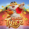 Fortune Tiger Slot Brasil PG Soft